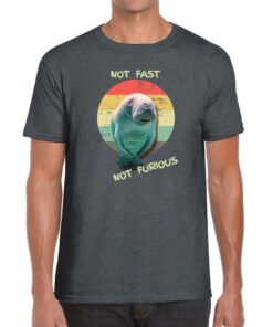 NOT Fast NOT Furious!