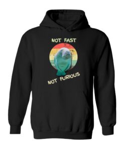 NOT Fast NOT Furious