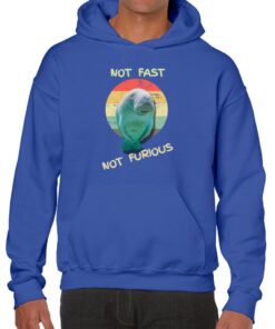 NOT Fast NOT Furious